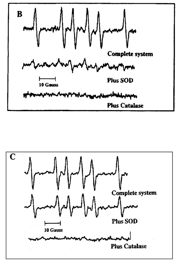 Fig. 11