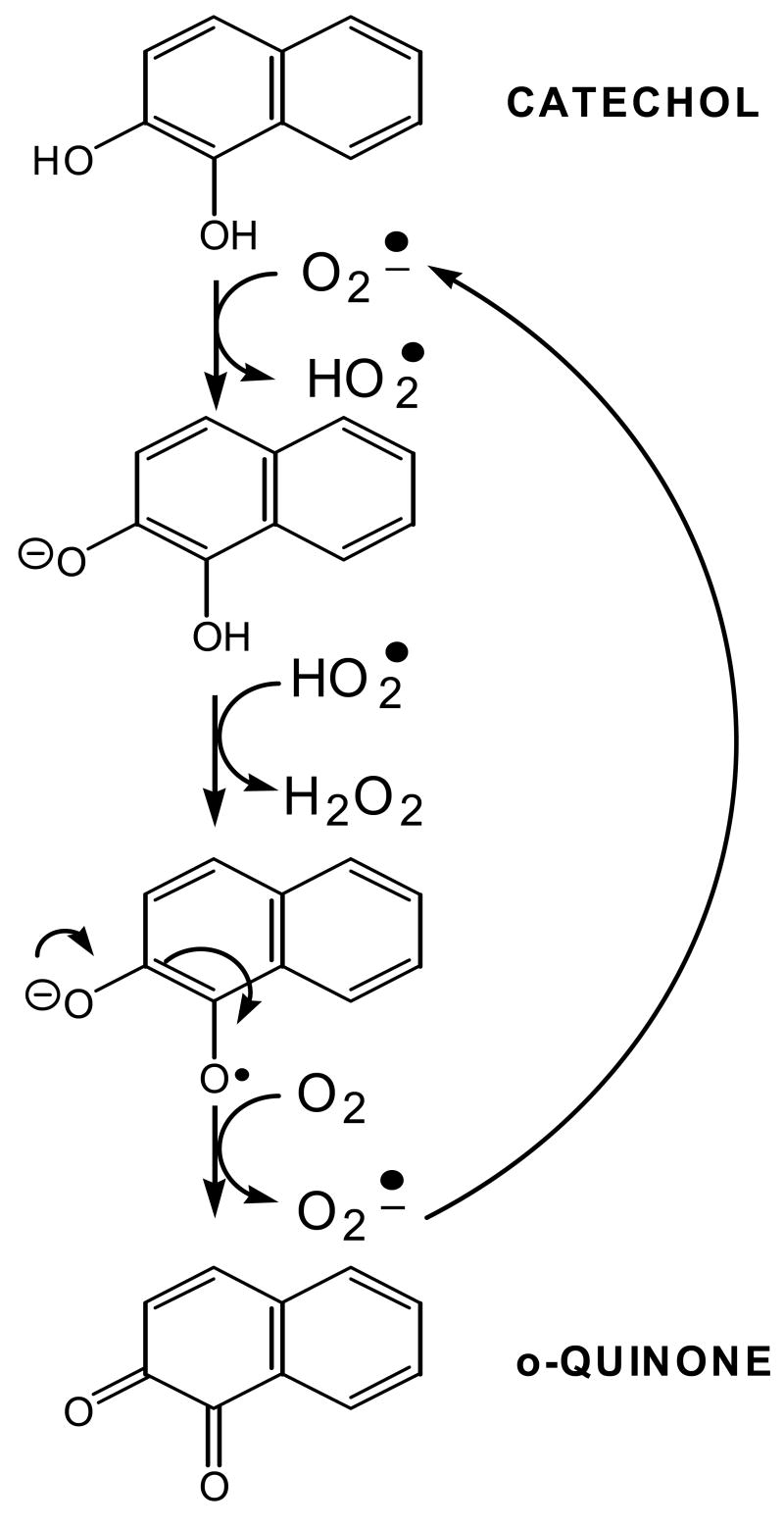 Fig. 12