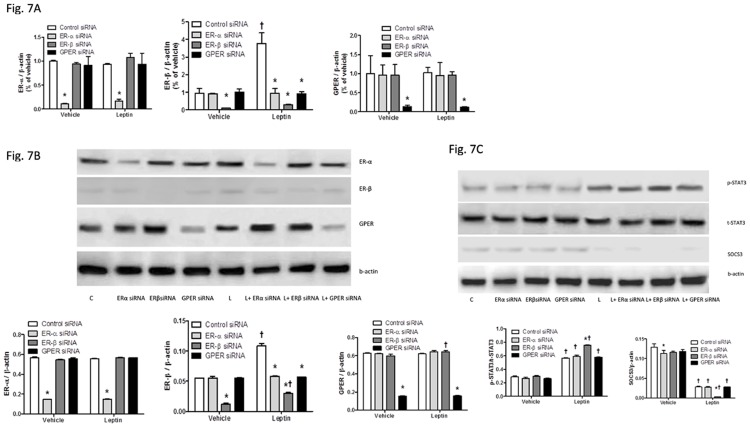 Fig 7