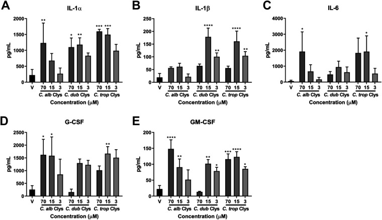 FIG 3