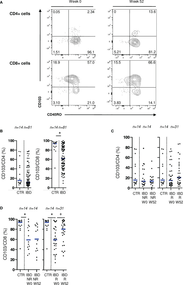 Figure 5