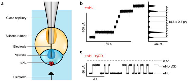 Fig. 3