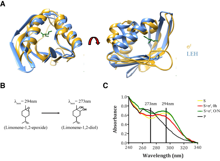 Figure 3.