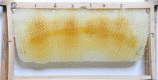 Fig 7