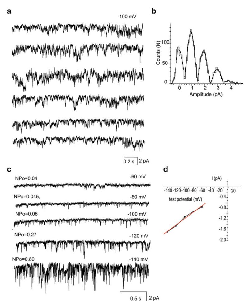 Fig. 2