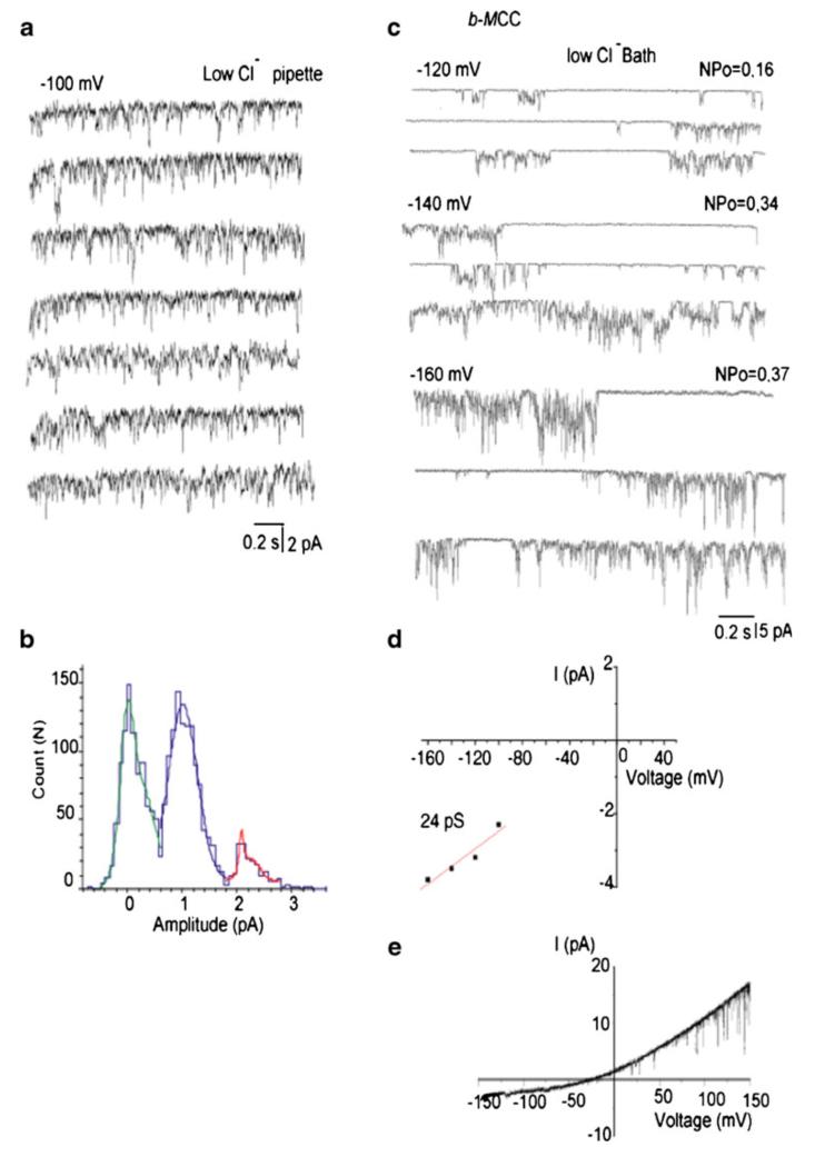 Fig. 9