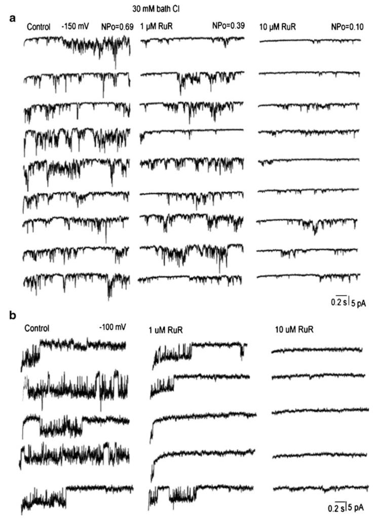 Fig. 8