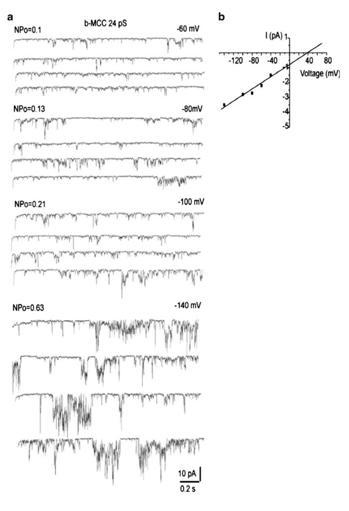 Fig. 6