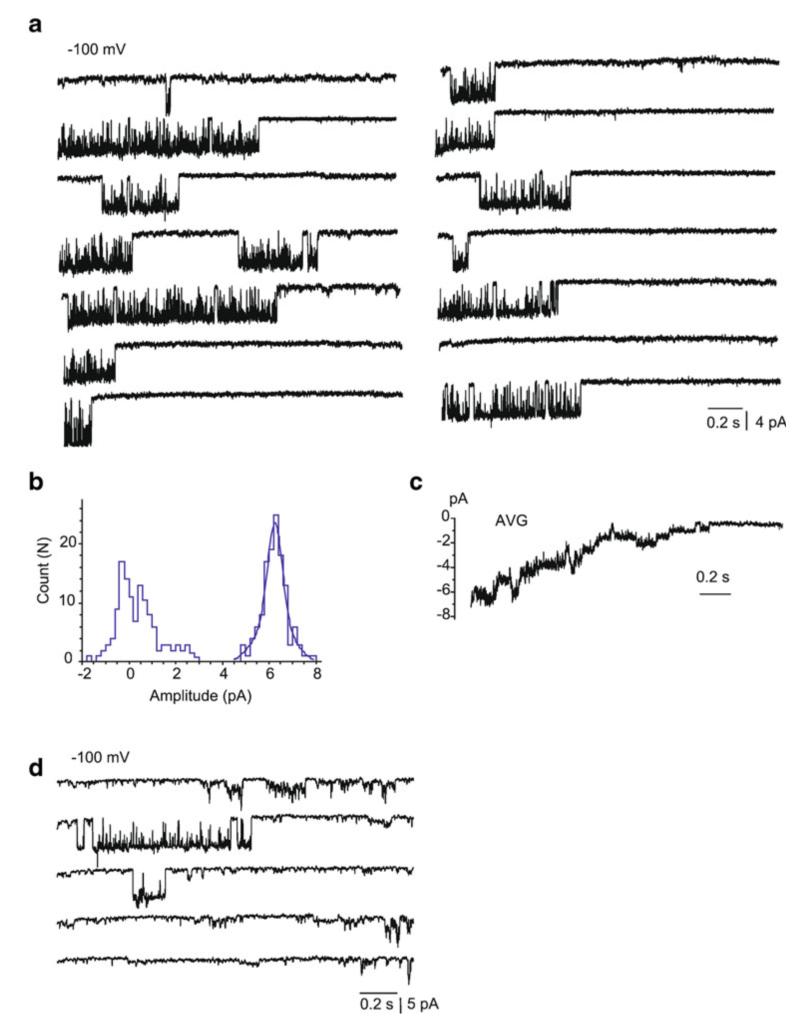 Fig. 3