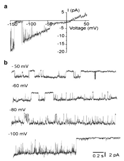 Fig. 4