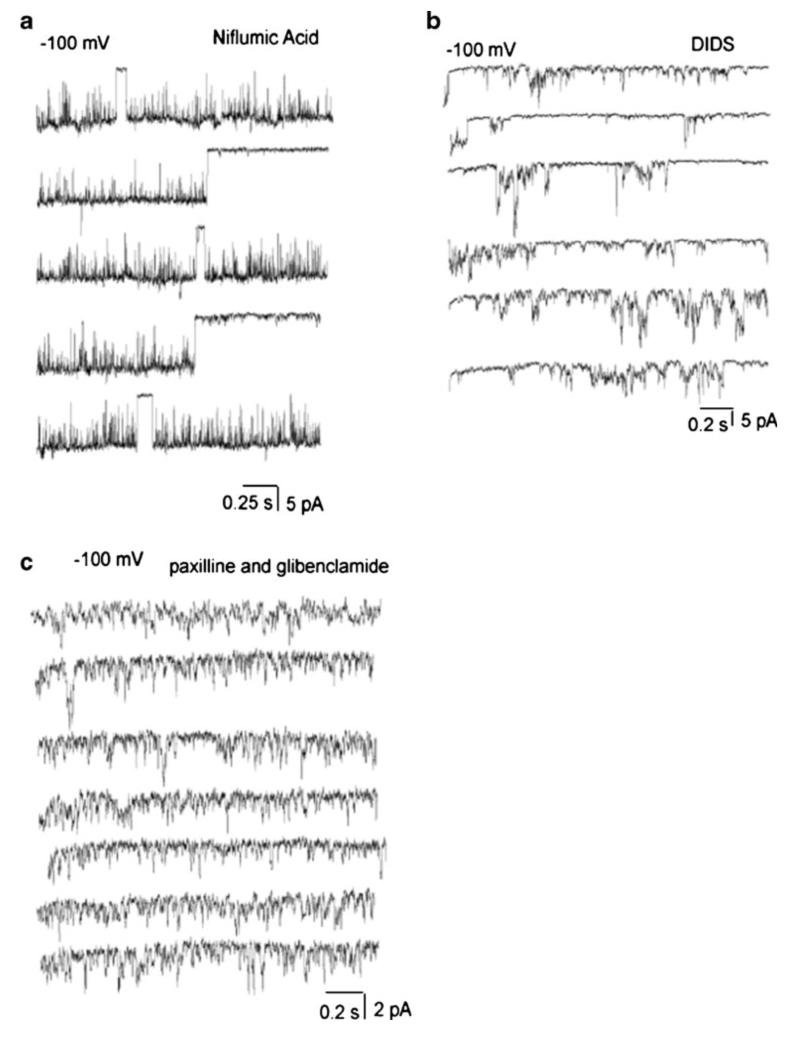 Fig. 10