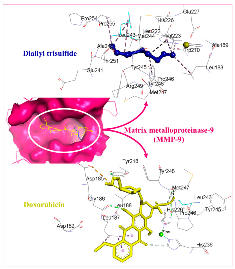 Figure 9