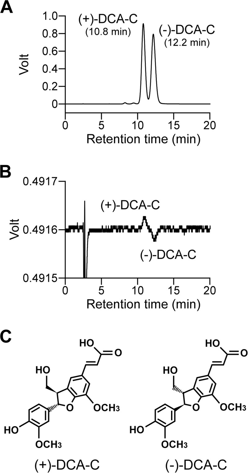 FIG 3