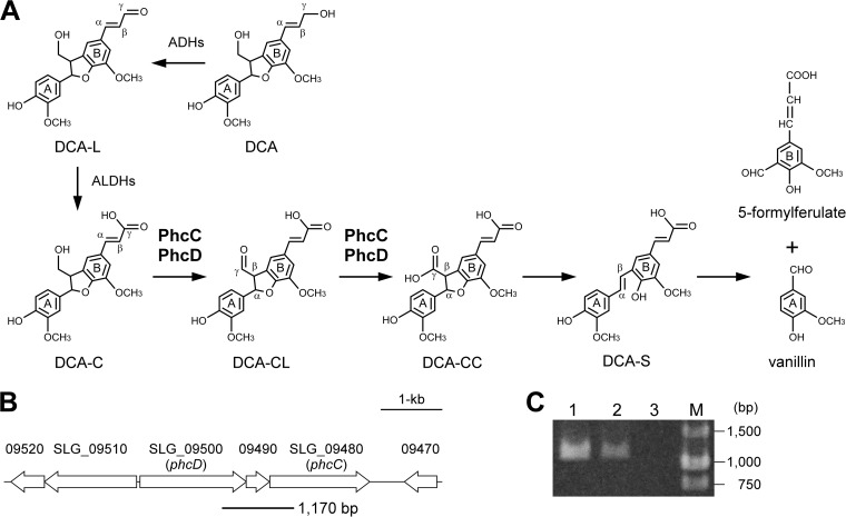 FIG 1