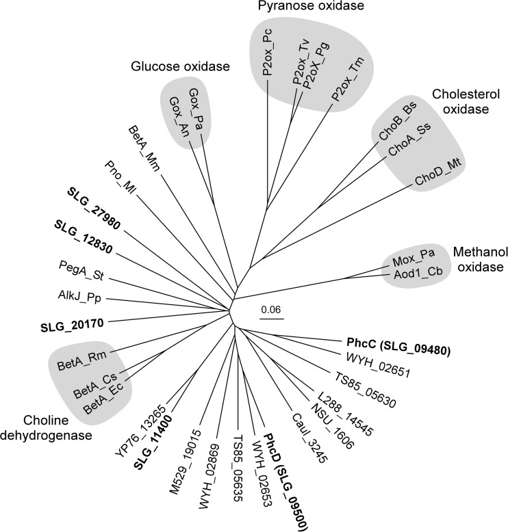 FIG 9