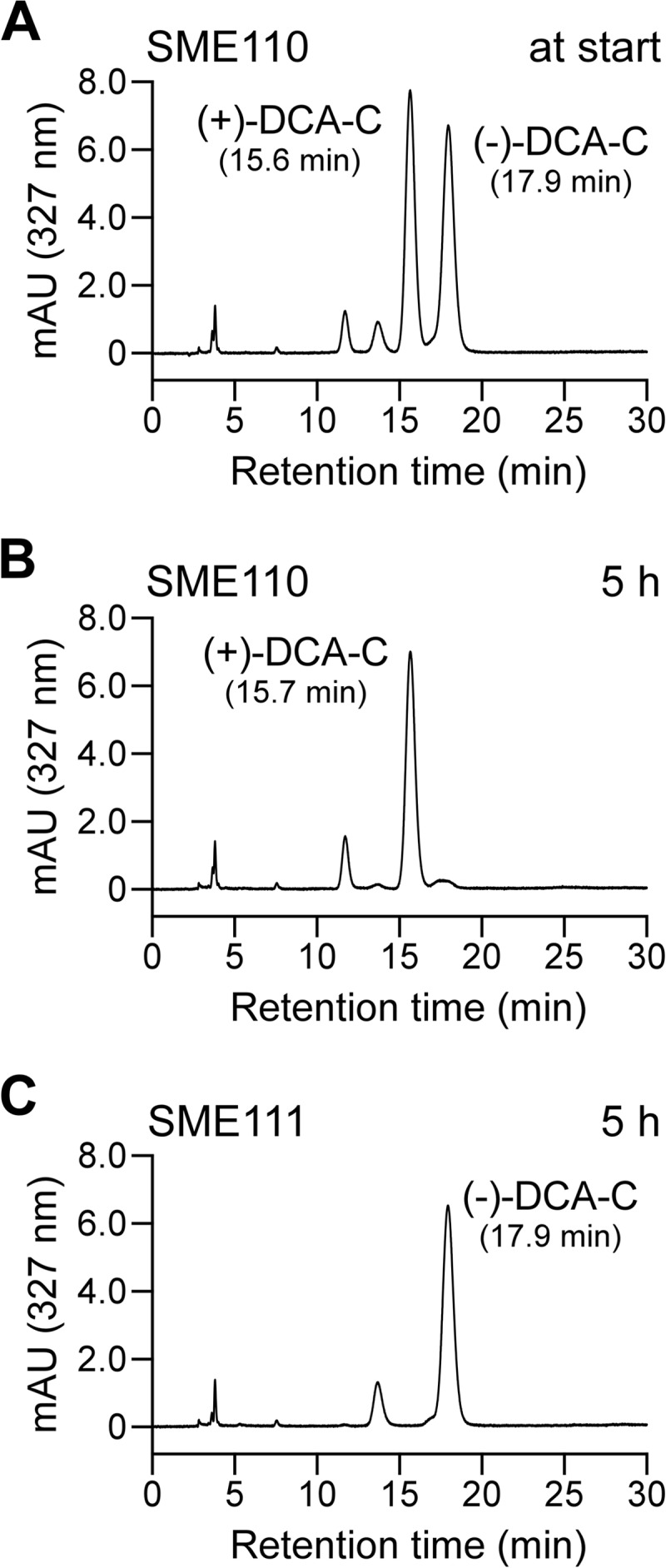 FIG 4