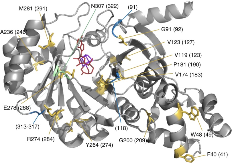 Fig 3