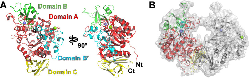 Figure 1.