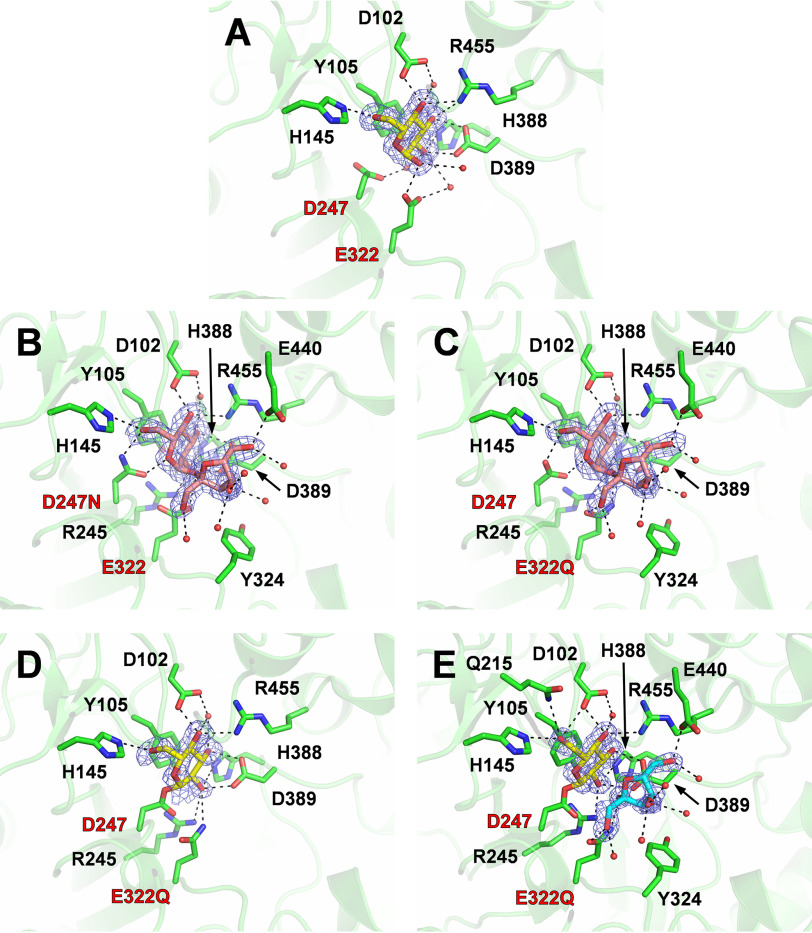 Figure 2.