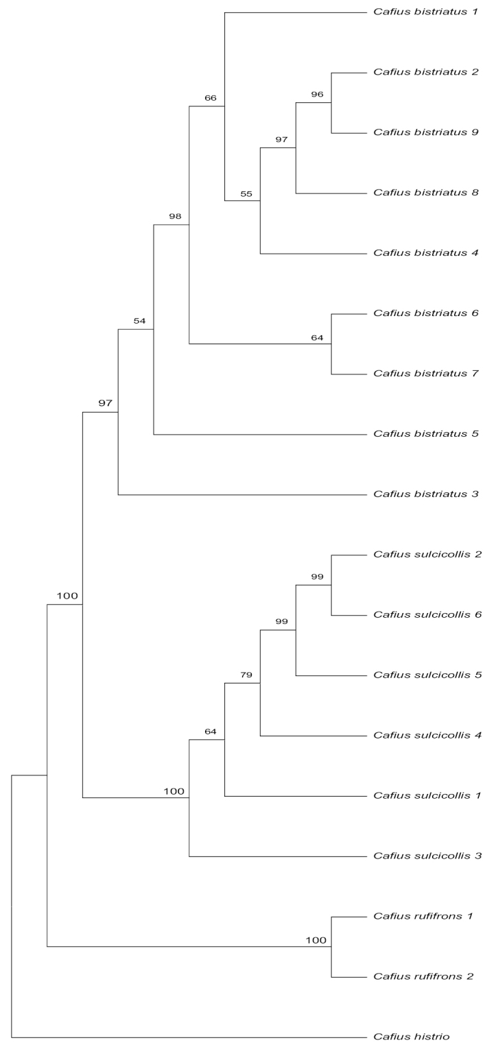 Figure 6.