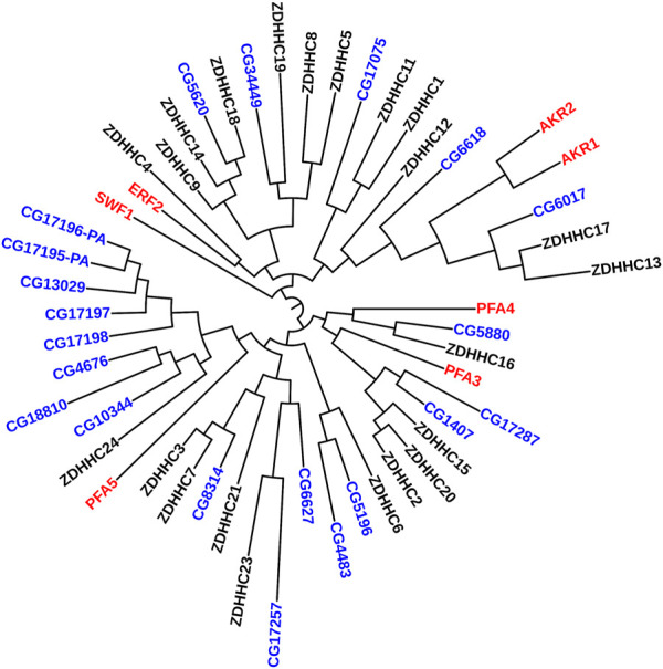 FIGURE 2