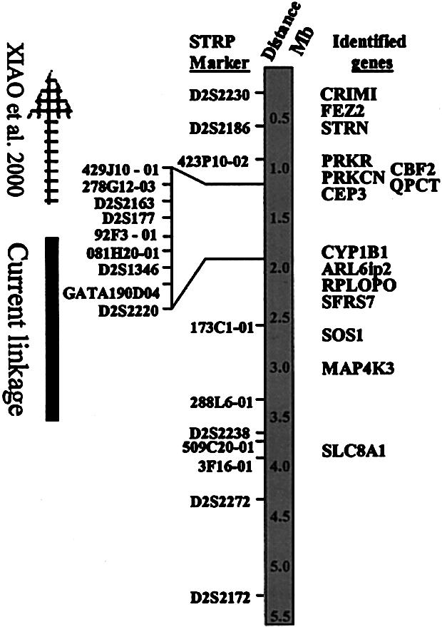 Figure  2