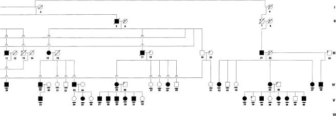 graphic file with name AJHGv70p943fg1b.jpg