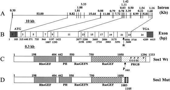 Figure  4