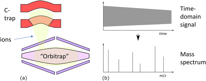 Fig. 4