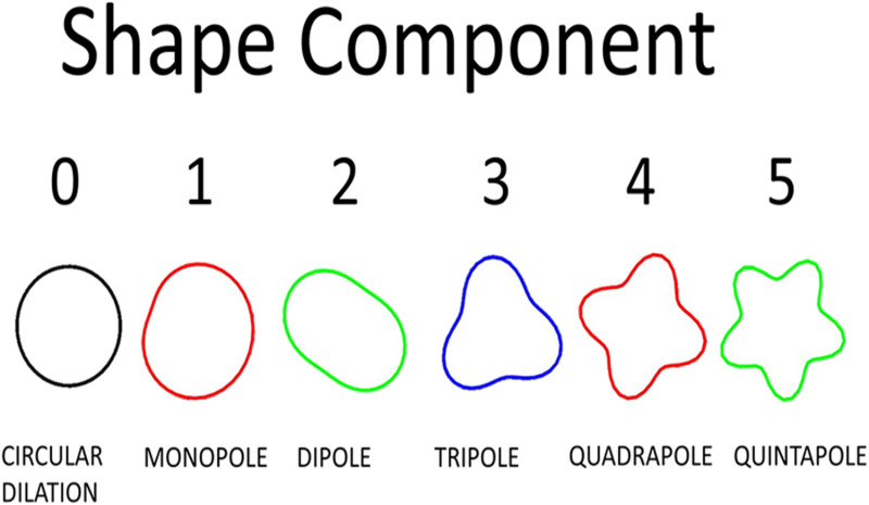 Fig. 2