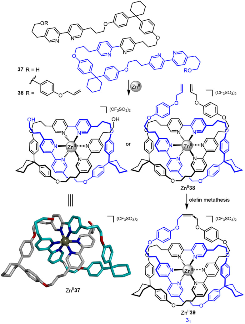 Fig. 13