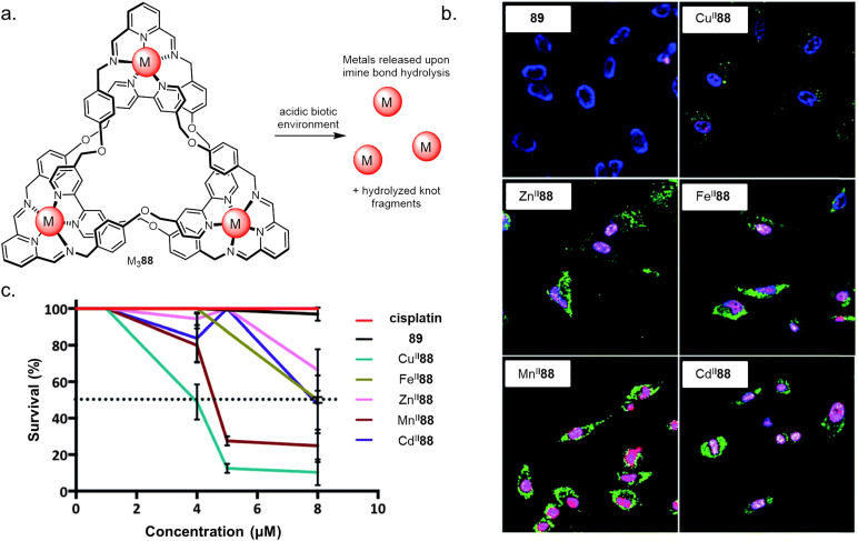 Fig. 36