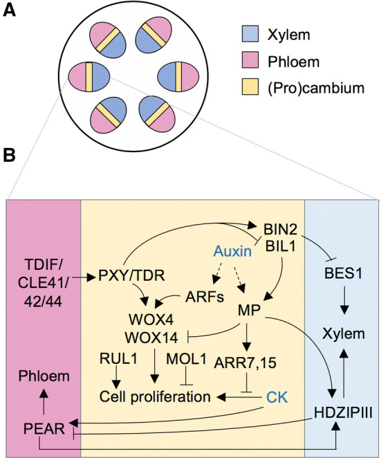 Fig. 6