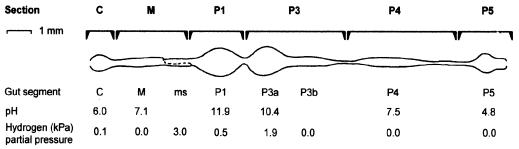 FIG. 1.