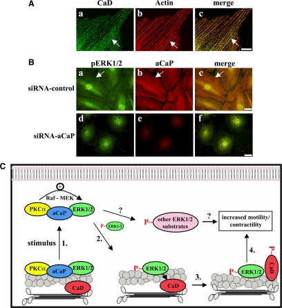 Figure 10.