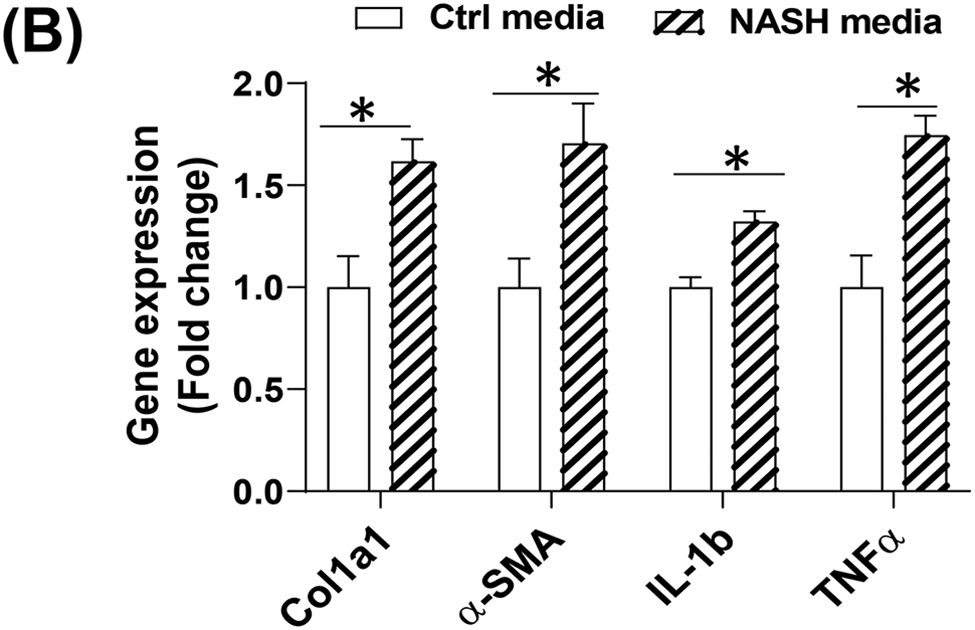 Figure 5: