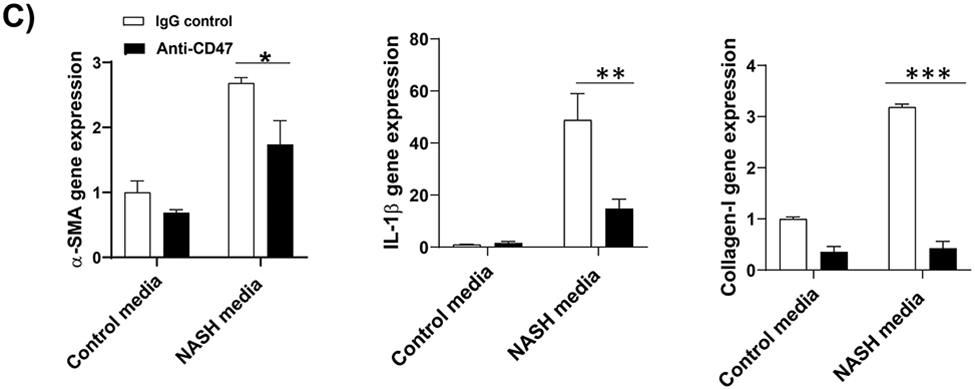 Figure 5: