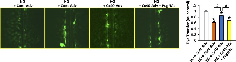 Fig. 6.