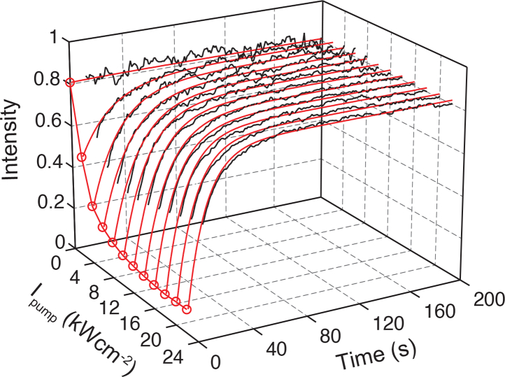 Fig. 8