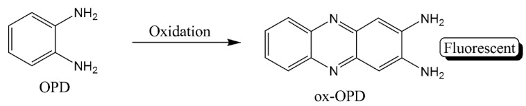 Scheme 5