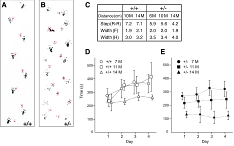 FIG. 8.