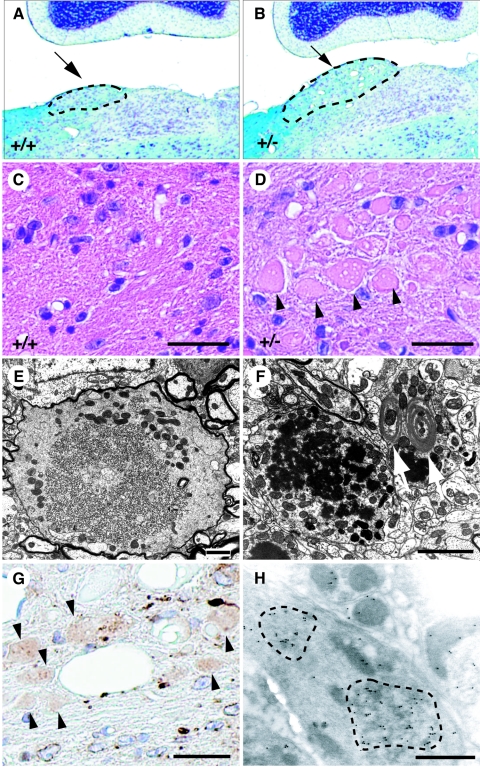 FIG. 6.