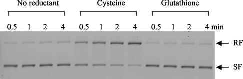 FIG. 9.