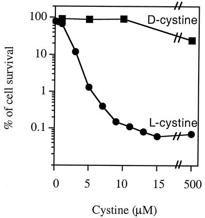 FIG. 5.