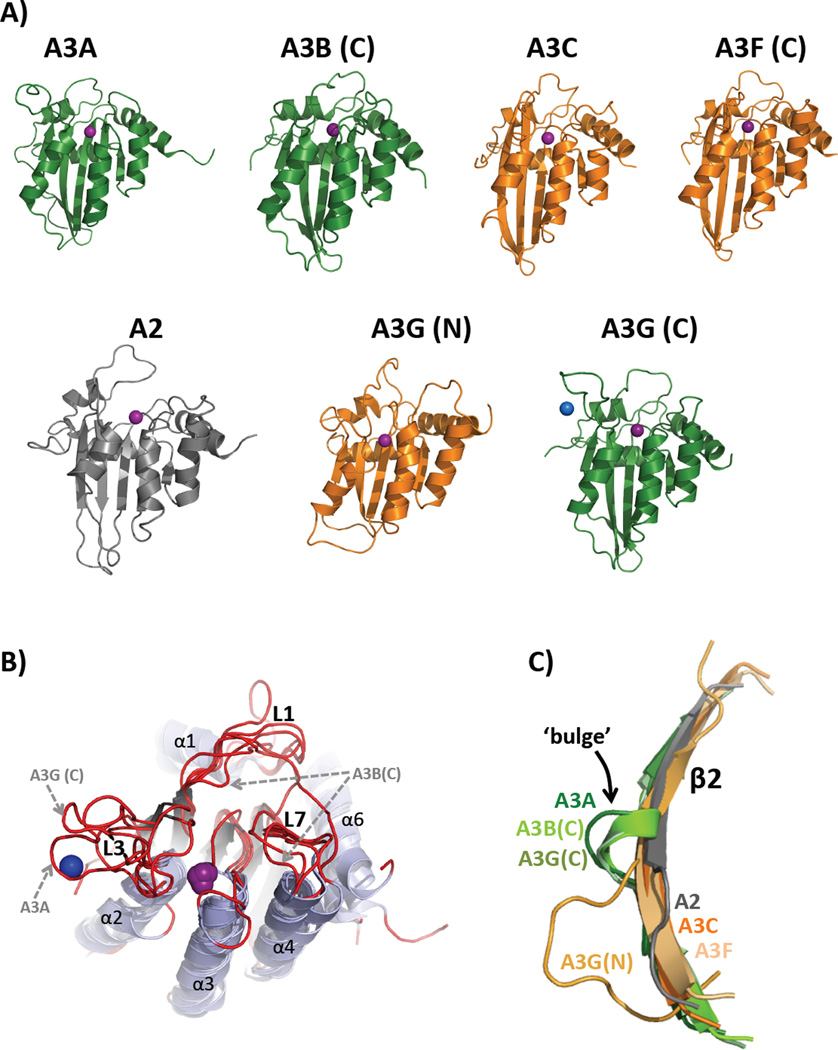 Figure 2, Key Figure