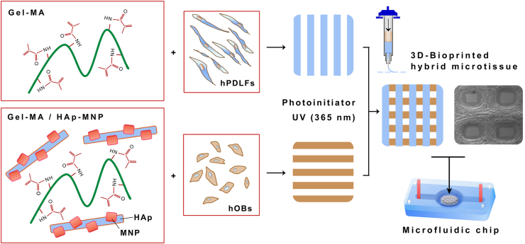 Figure 1