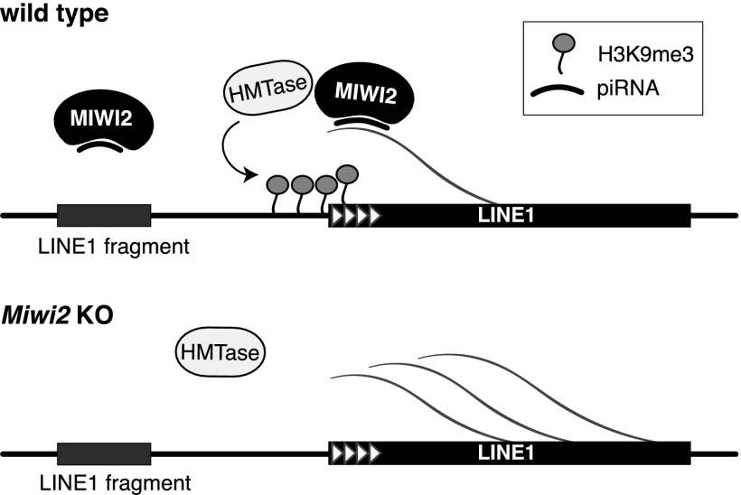 Figure 7.