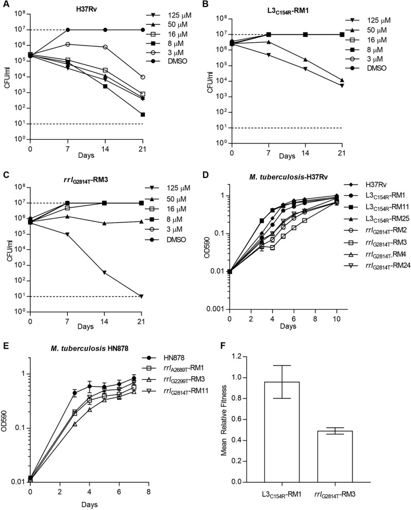 FIG 1