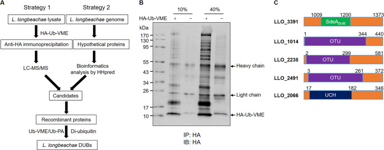 FIG 2