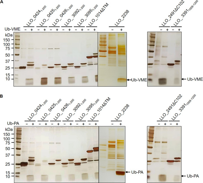 FIG 3